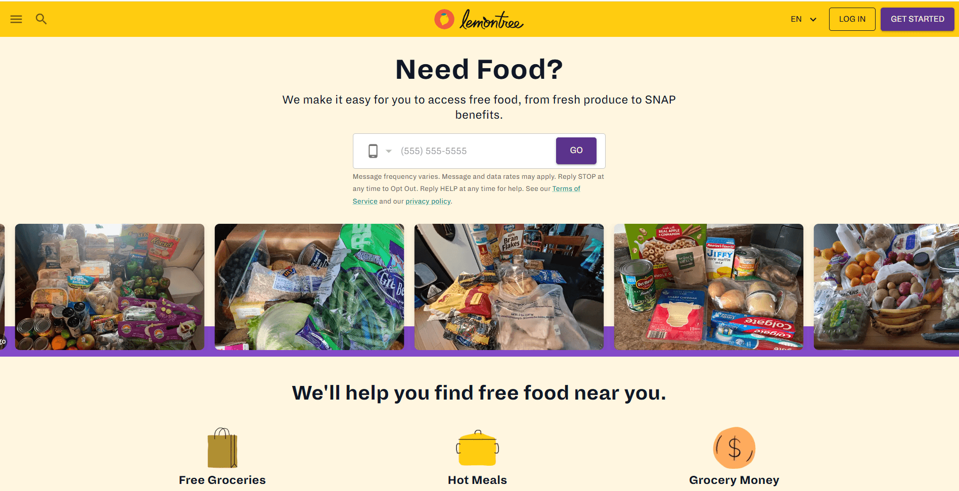 Lemontree Volunteer Platform cover image